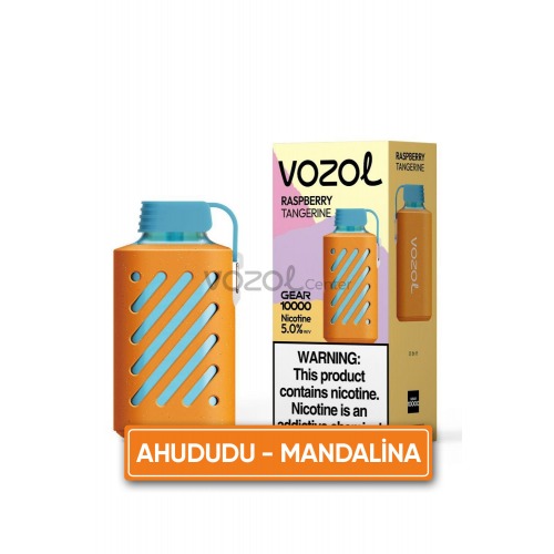 Vozol Gear 10000 Puff Raspberry Tangerine