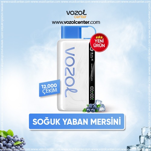 Vozol 12000 Puff Bluerazz Ice