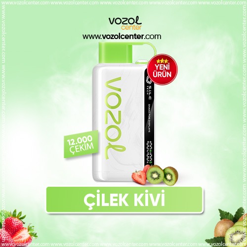 Vozol 12000 Puff Strawberry Kiwi